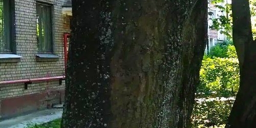 1-комн квартира 2-й Рабфаковский переулок, 7К2