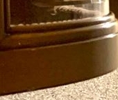 Сдать в аренду Квартиры вторичка Норильская улица, 6   