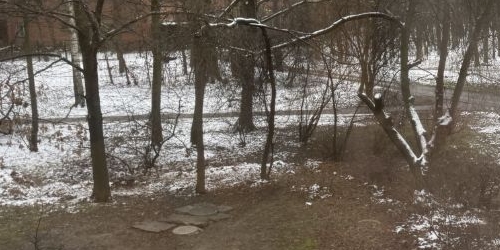 2-комн квартира Новочеркасский проспект, 12К1