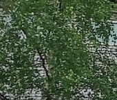 Продать Квартиры вторичка Красное Село, проспект Ленина, 90   