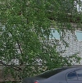 Продажа 1-комн квартиры на вторичном рынке Красное Село, проспект Ленина, 90 Продажа 1-комн квартиры на вторичном рынке Красное Село, проспект Ленина, 90