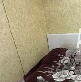 Аренда 2-комн квартиры на вторичном рынке Ковалевская улица, 26 Аренда 2-комн квартиры на вторичном рынке Ковалевская улица, 26