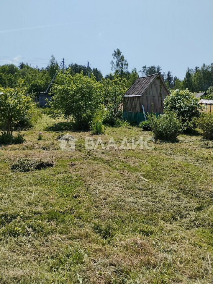 Продажа земли д. Большая Вруда, 3