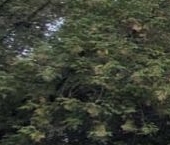 Продать Квартиры вторичка Большая Академическая улица, 73К1   