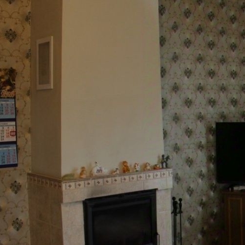 Коттедж/дом д. Пеники, улица Центральная, 2