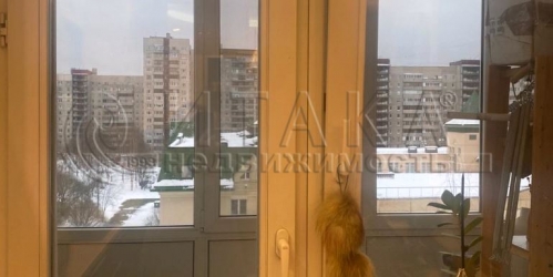 2-комн квартира Новоколомяжский,  д. 4,  к. 1