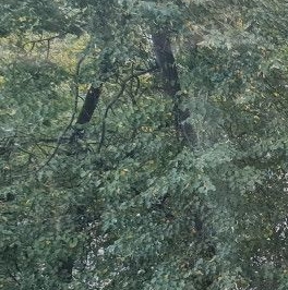 Продажа 1-комн квартиры на вторичном рынке Валдайский проезд, 12