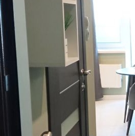 Аренда 1-комн квартиры на вторичном рынке пос. Шушары, проспект Старорусский, 6