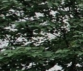 Продать Квартиры вторичка Люберцы, улица Побратимов, 22   