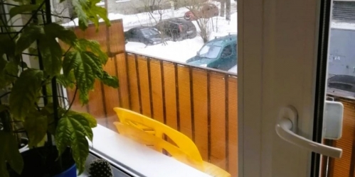 1-комн квартира Кузьмоловский пос., Победы ул. ,  д. 5