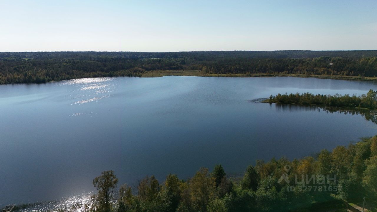 Продажа земли Массив Никольское кп, Красный Бор городской поселок, 2