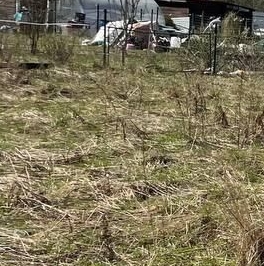 Продажа земли Живой Ручей кп, 343 Продажа земли Живой Ручей кп, 343