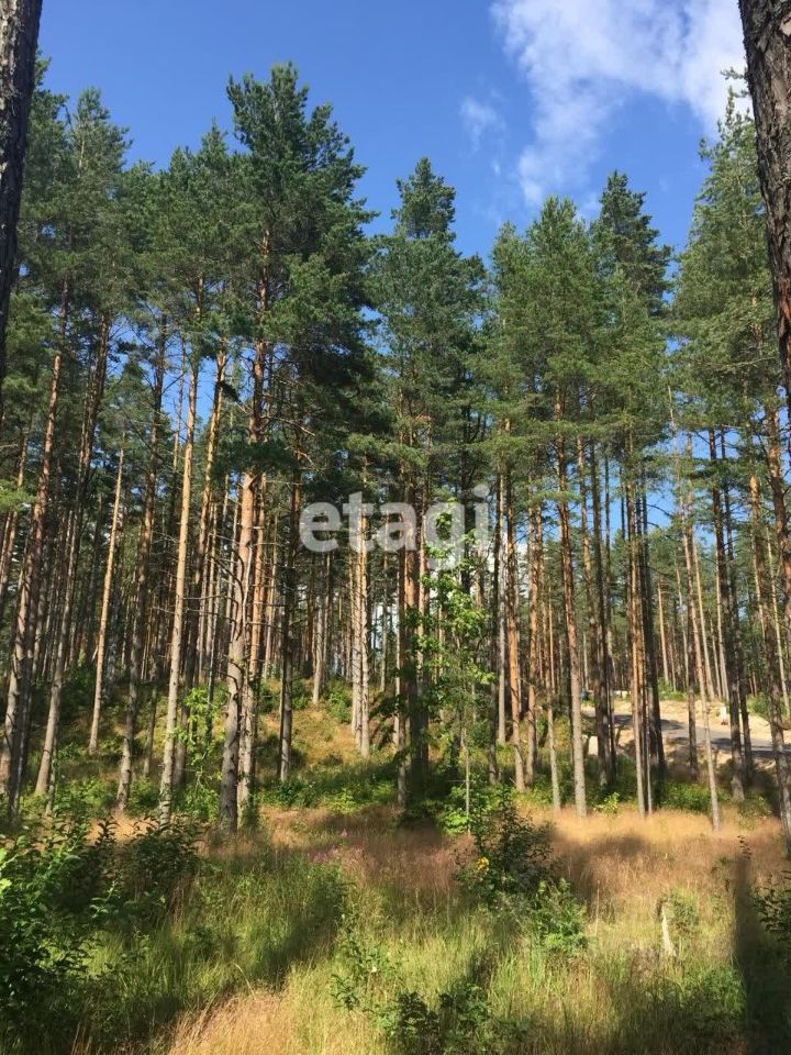 Продажа земли Акватория кп, пос. Пески,  д. 63