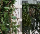 Продать Квартиры вторичка улица Арбат, 24   