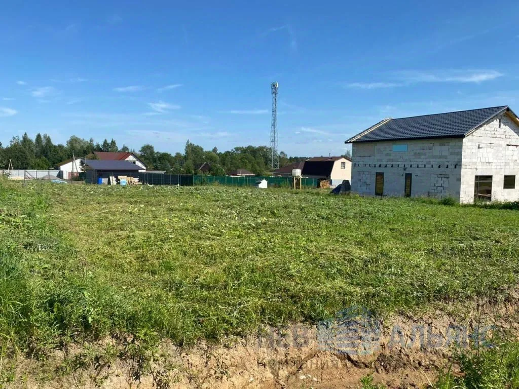 Продажа земли д. Большое Рейзино, 4