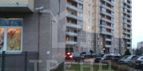 1-комн квартира пр-кт Непокорённых,  д. 49,  к. 2