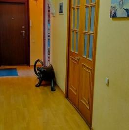 Продажа 3-комн квартиры на вторичном рынке Коптевская улица,  д. 83 к1