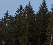 Продать Земельные участки, земля Фортуна кп, Сосновый Бор  8 