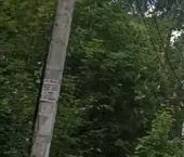 Продать Земельные участки, земля Всеволожск, проспект Козлова   