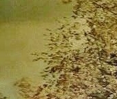 Сдать в аренду Квартиры вторичка Ланское шоссе, 16К4   