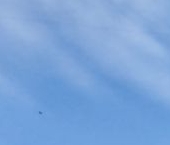 Продать Квартиры вторичка Рыбацкий проспект, 18к2   