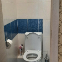 Продажа 1-комн квартиры на вторичном рынке Мурино г, Авиаторов Балтики пр-кт