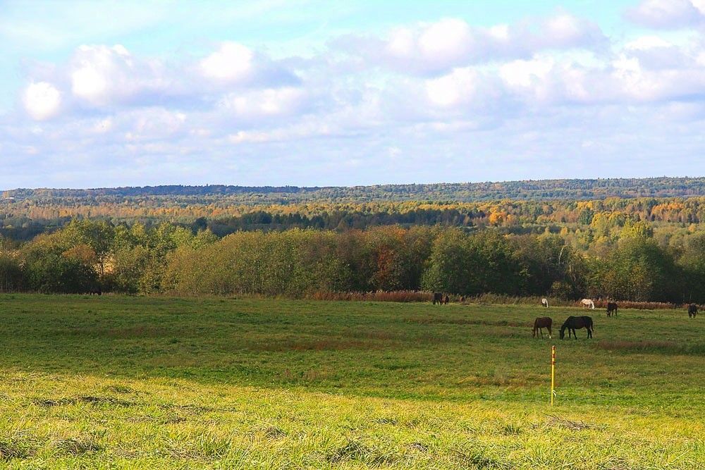Продажа земли Царский склон кп, Ропшинская долина кп