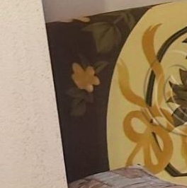 Аренда 1-комн квартиры на вторичном рынке улица Трефолева, 22/25