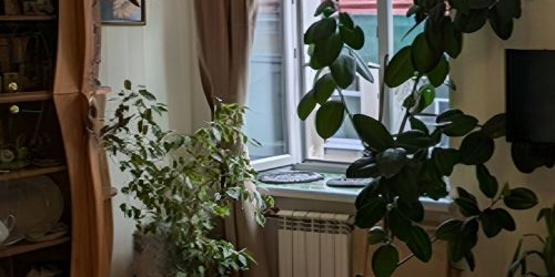 4-комн квартира переулок Гривцова, 3