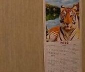 Продать Комнаты в квартирах Ломоносов, улица Красного Флота, 1   