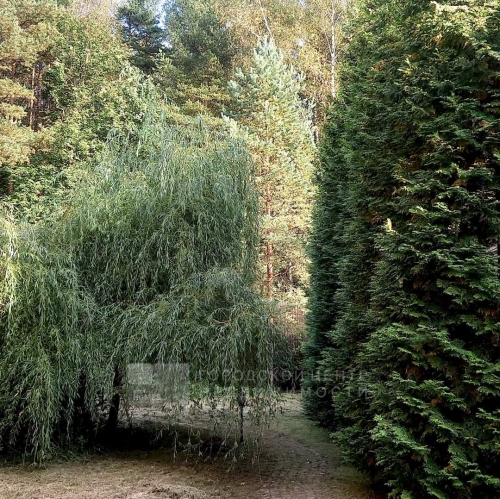 Коттедж/дом Дедовск г., Пригородная ул., 19