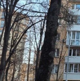 Аренда студии Ломоносовский проспект, 34А