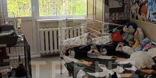 3-комн квартира Кингисепп, улица Жукова, 12а