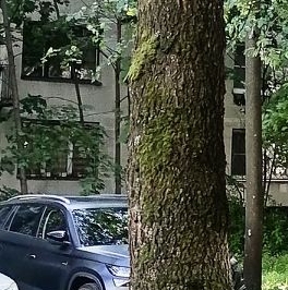 Продажа студии Гражданский проспект, 106К3