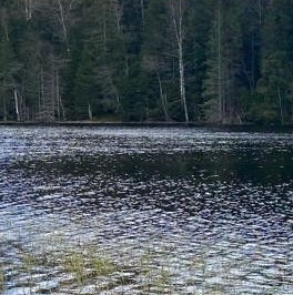 Продажа земли Озон СНТ