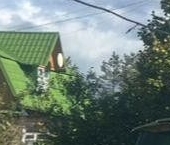 Продать Дачи, коттеджи, загородные дома Чаща садоводческий массив, Оредежское СНТ  482 