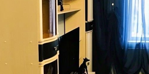 1-комн квартира Кондратьевский проспект, 64к1