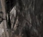 Продать Квартиры вторичка пос. Парголово, проезд Толубеевский, 8к2   