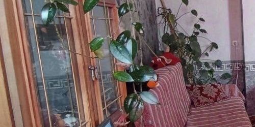 4-комн квартира 15-я Васильевского острова линия, 16