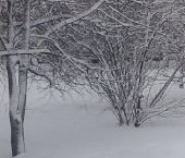 Сдать в аренду Квартиры вторичка Красное Село, улица Лермонтова, 11к2   