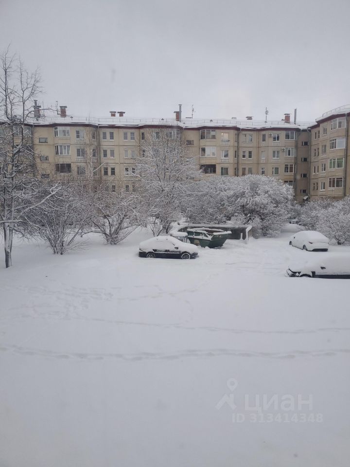 Аренда 2-комн квартиры на вторичном рынке Красное Село, улица Лермонтова, 11к2