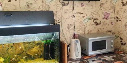 1-комн квартира проезд Дежнева, 30