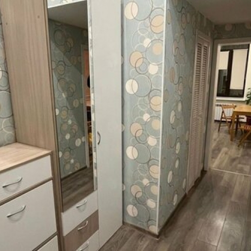 1-комн квартира ул Радищева,  д. 25/14