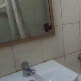 Аренда 2-комн квартиры на вторичном рынке бульвар Маршала Рокоссовского, 25 Аренда 2-комн квартиры на вторичном рынке бульвар Маршала Рокоссовского, 25