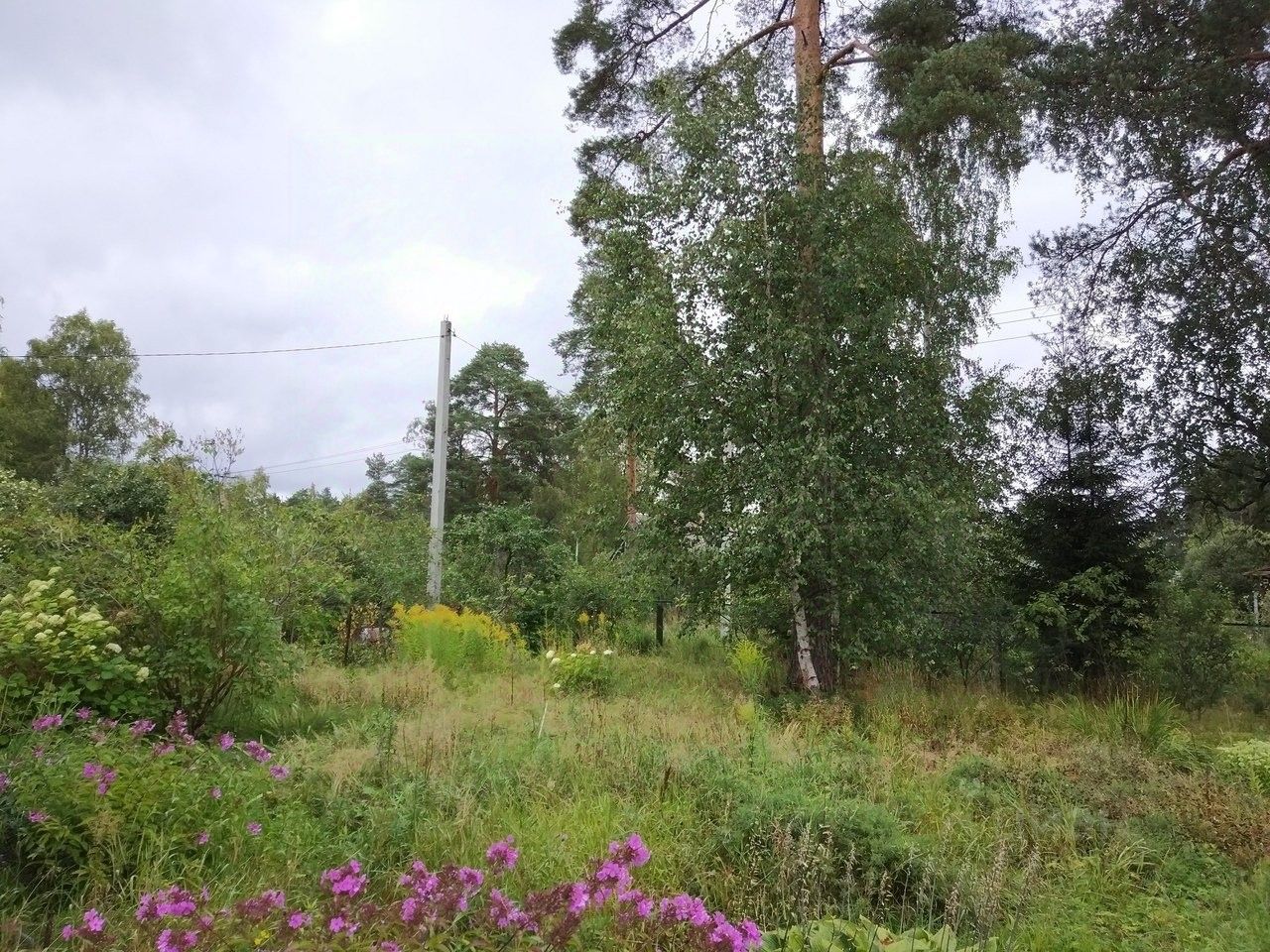 Продажа дома Вырица городской поселок, улица Карла Маркса