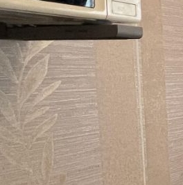 Аренда 1-комн квартиры на вторичном рынке проспект Защитников Москвы, 12 Аренда 1-комн квартиры на вторичном рынке проспект Защитников Москвы, 12