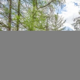 Продажа 2-комн квартиры на вторичном рынке Рассказовка д,  д. 8