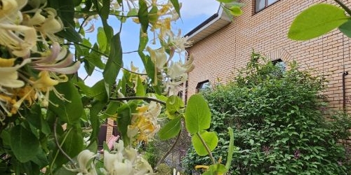 Коттедж/дом Безымянный переулок, 14к2