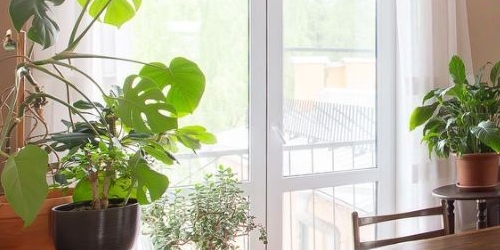 4-комн квартира 1-й Муринский проспект, 19