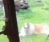 Продать Земельные участки, земля Дружба-2 СНТ, аллея 5-я  162 